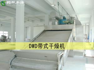 DWD網帶式干燥機